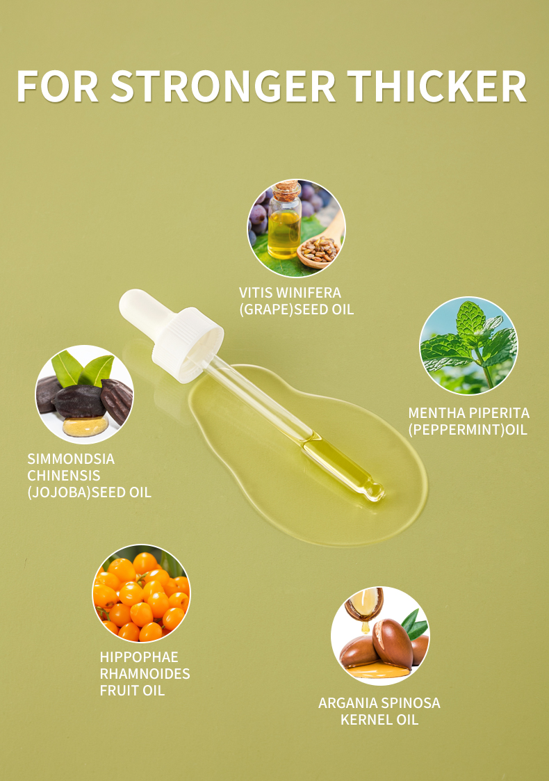 سيولي草本护发油第二版_04 