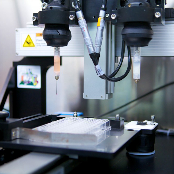 اختبار الاستقرار