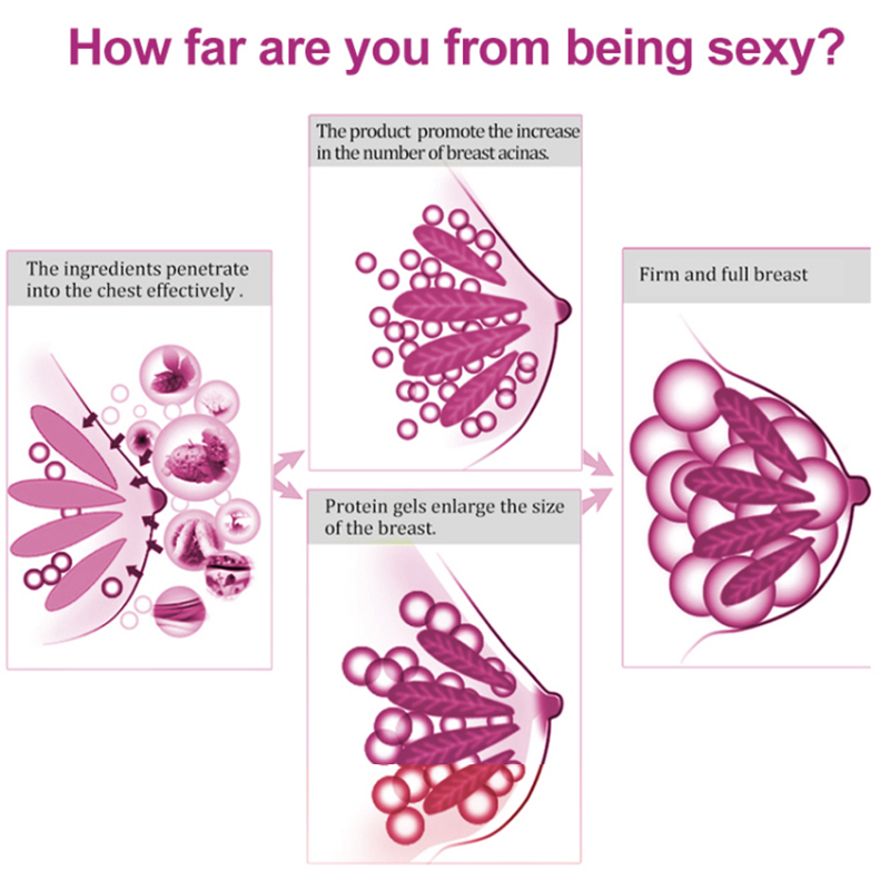 كريم تعزيز الثدي بالجملة بعلامة خاصة (6) 